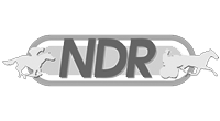 logo-web-ndr-II